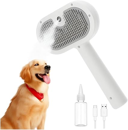 Cepillo Con Vapor