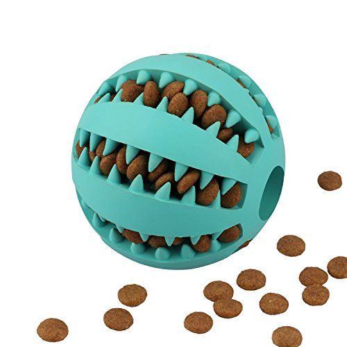 Pelota con Comida